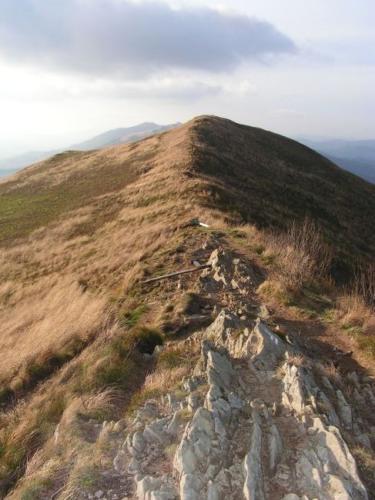 Bieszczadzkie Połoniny