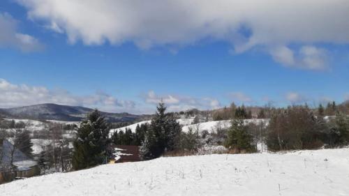 Okolice domków Bieszczady